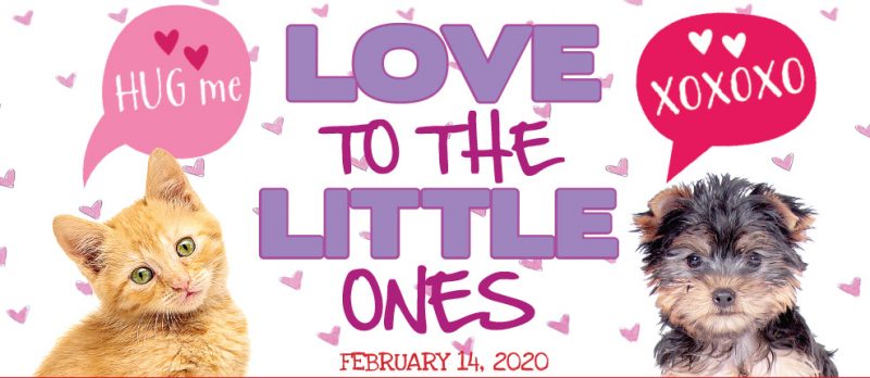 Slideshow Page 3: Love to the Little Ones